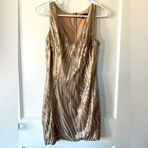Blush Zebra Sequin Mini Dress